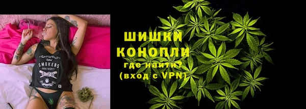 прущий лед Богданович